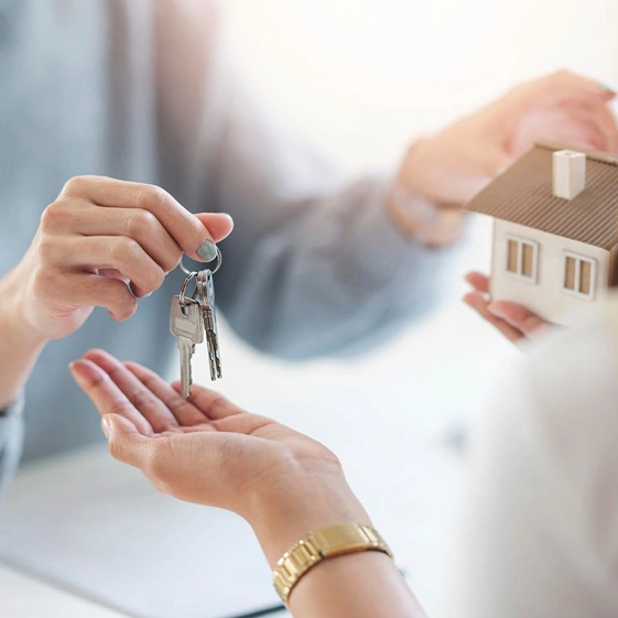 Final Touches & Handover