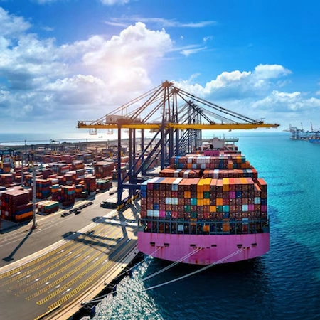 Sea Freight Forwarding: Locate & Ship Everything with Confidence